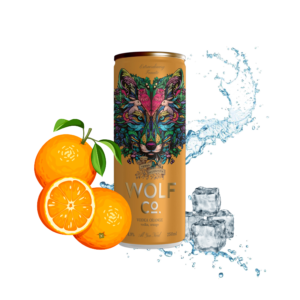 Vodka & Orange 4,9% Alc.